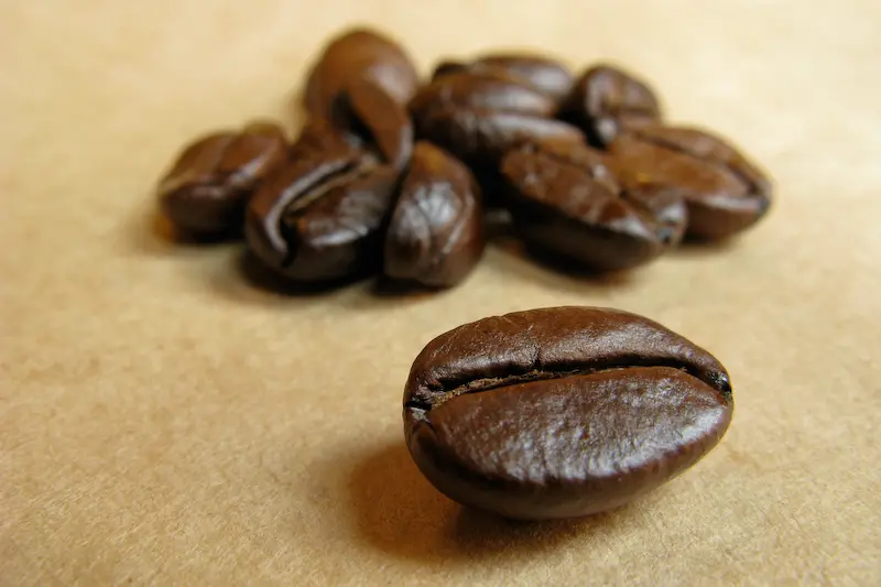 ที่มา: Wikimedia Commons เมล็ดกาแฟอาราบิก้ากับโรบัสต้าต่างกันอย่างไร